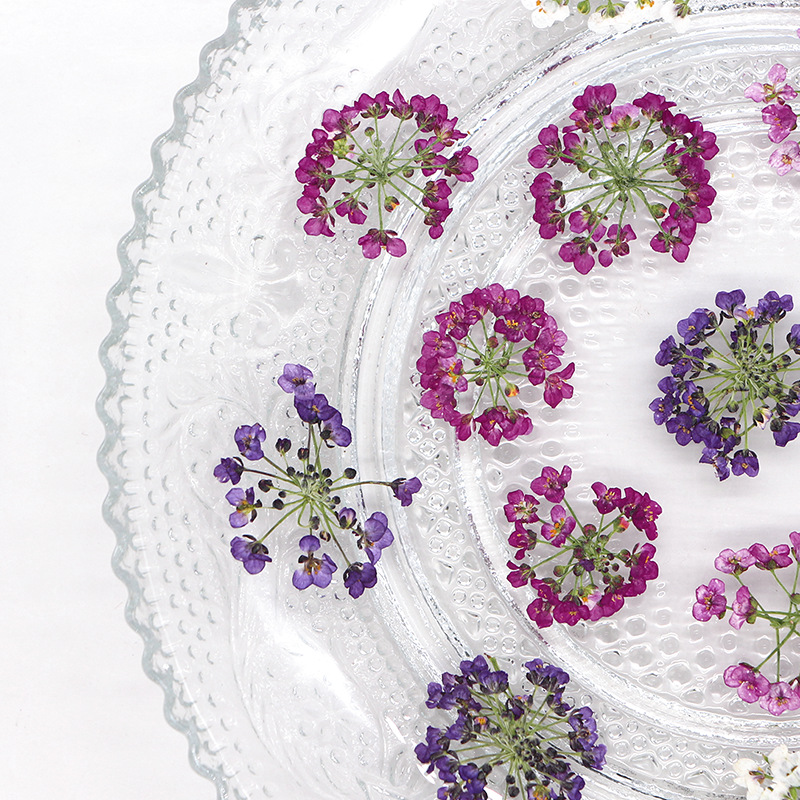 1.5-2.5cm/12 piezas, Cabeza de - Dried Flower Bookmark reseña y precio
